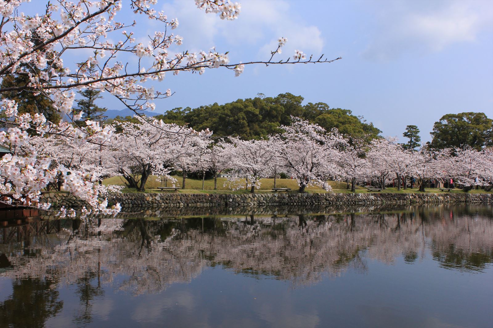 ▲小城公園