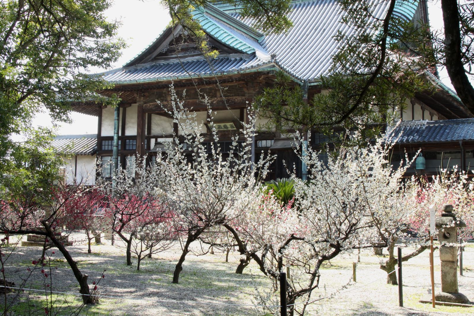 【佐賀市】高傳寺