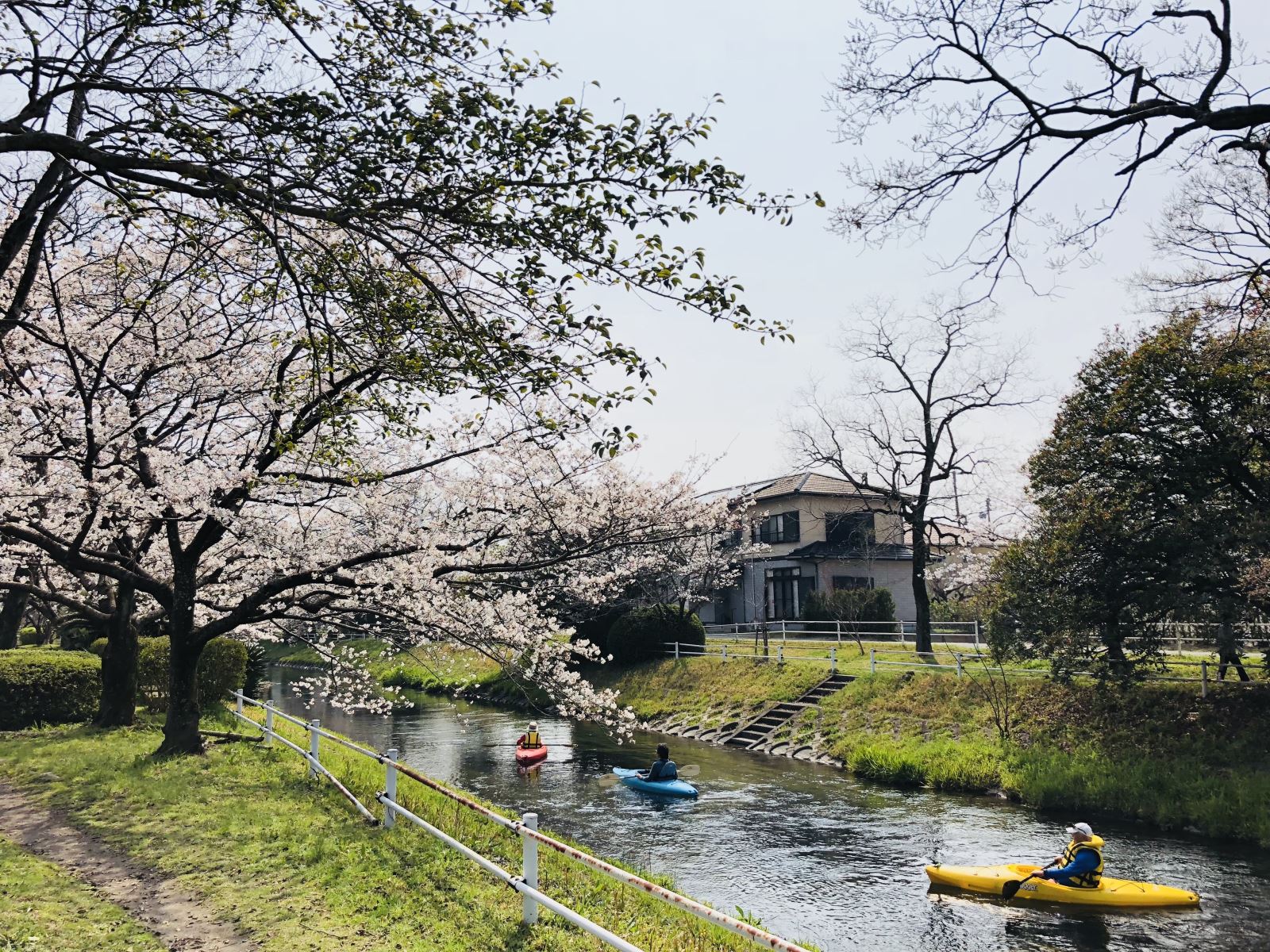 ▲多布施川河畔公園