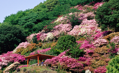 東山公園